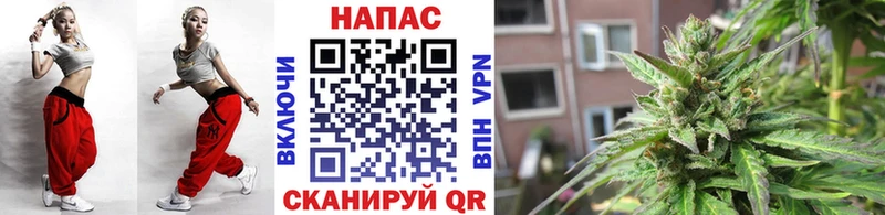 Где можно купить наркотики Волосово КОКАИН  Мефедрон  OMG ССЫЛКА  МАРИХУАНА  Гашиш  Галлюциногенные грибы 