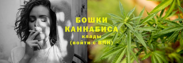 винт Бородино